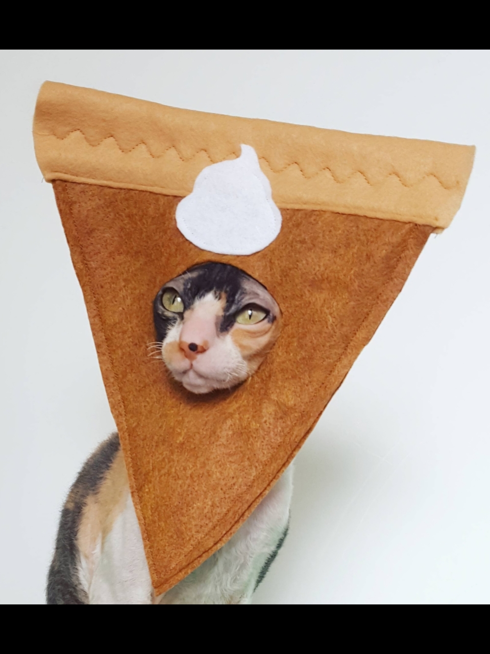 Novelty Pumpkin Pie Slice Cat/small Dog Hat - New